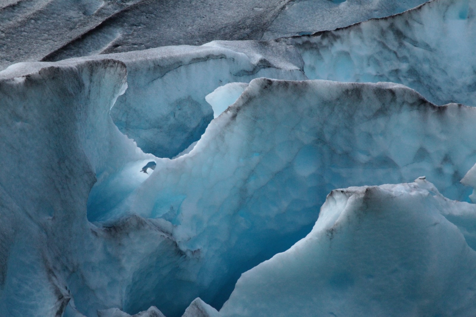 Leuchtendes Eis, Nigardsbreen, Norwegen