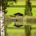 Leuchtendes Grün am Weißensee in Österreich 