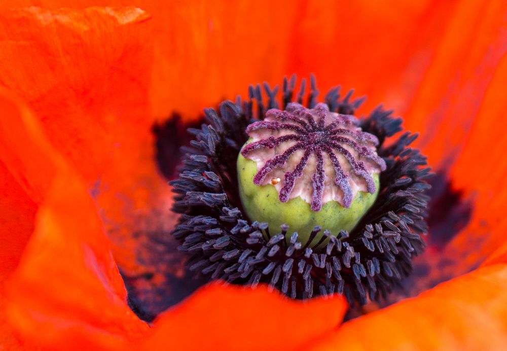 leuchtendes Rot