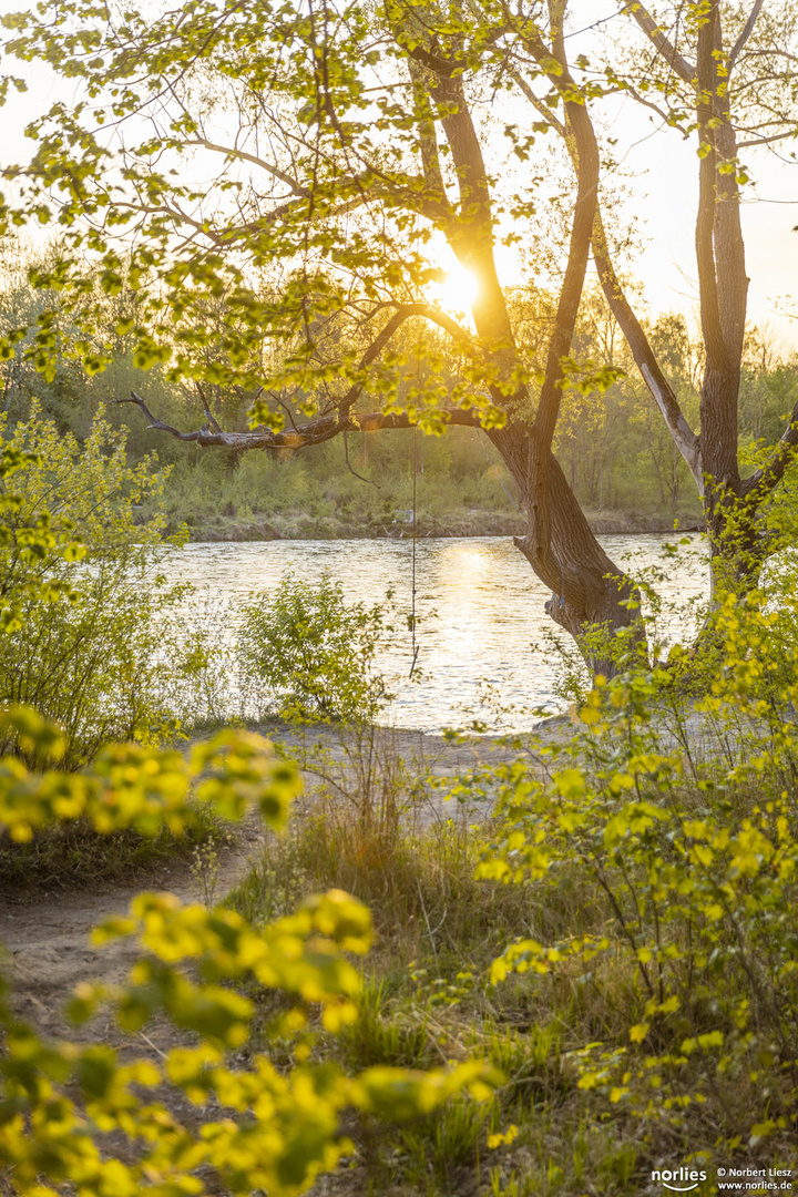 Leuchtendes Ufer am Lech