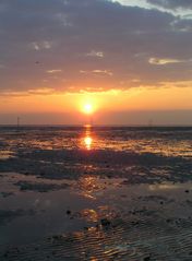 Leuchtendes Wattenmeer