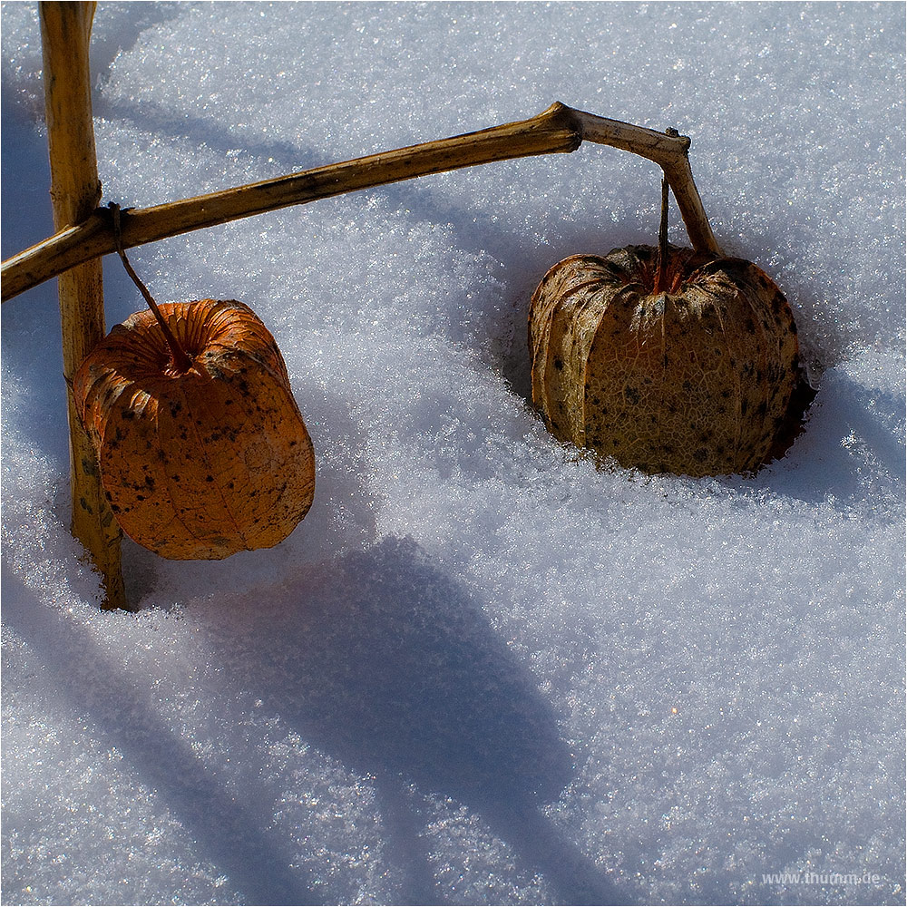 Leuchter im Schnee