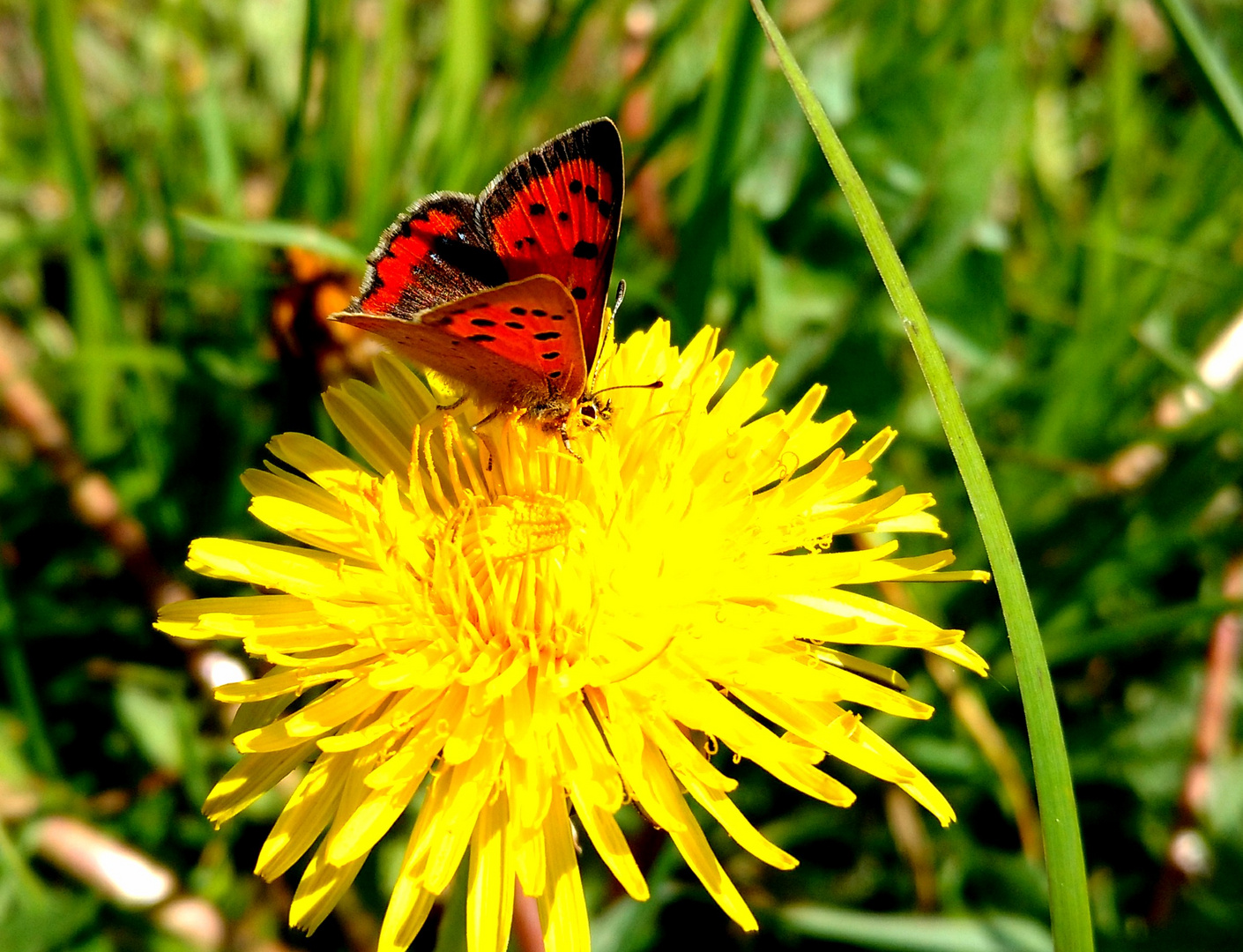 Leuchtfarben