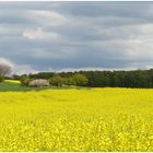 Leuchtfarben der Natur