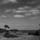 Leuchtfeuer Dornbusch - Hiddensee II