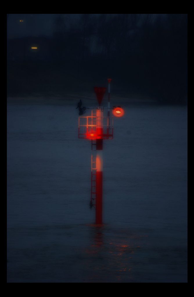 Leuchtpfahl ( oder wie das Ding heisst) mit Vogel bei Hochwasser und Mistwetter