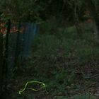 Leuchtspuren (2017_06_24_EOS 6D_4139_ji)