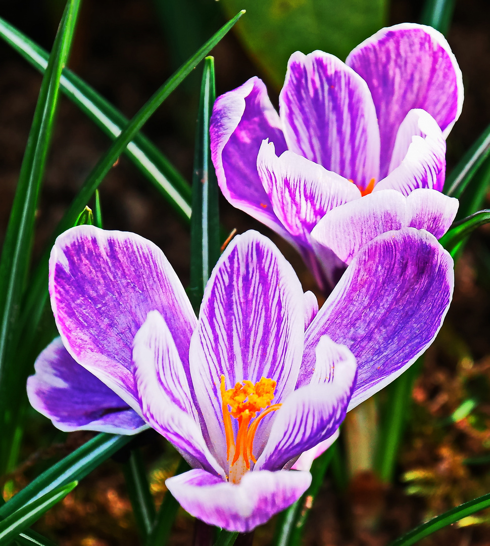 LeuchtStoffBlauWeiß