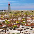 Leuchttürme (43) – Farol de Sagres