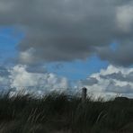 Texel