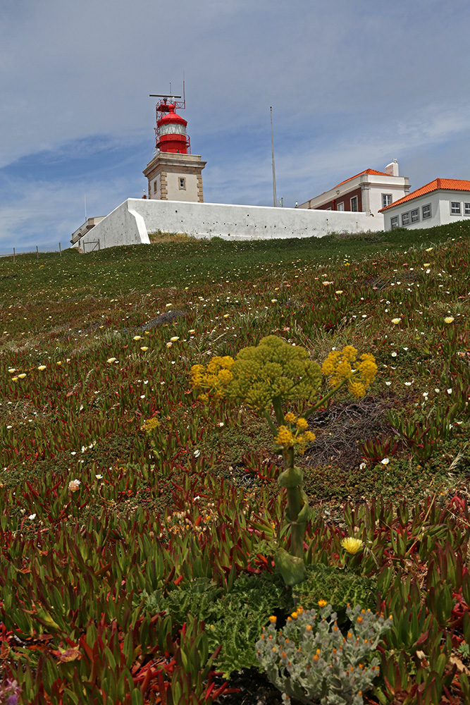 Leuchtturm am Cabo da Roca (c)