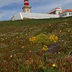 Leuchtturm am Cabo da Roca (c)