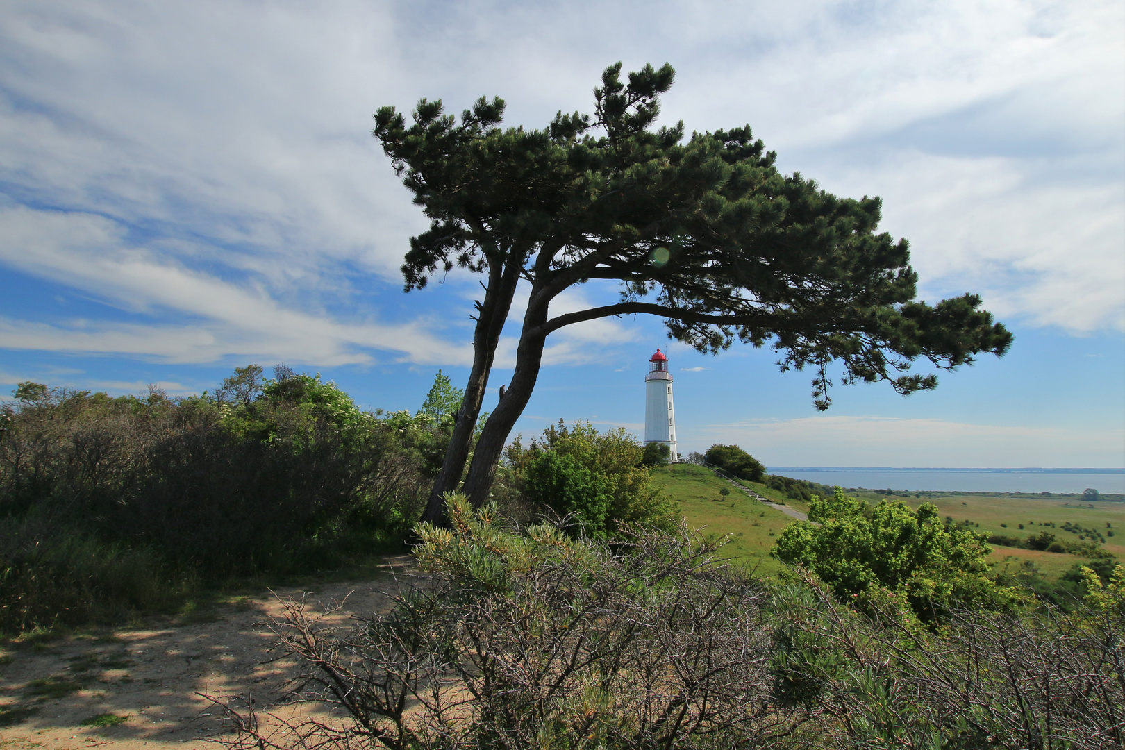 Leuchtturm am Dornbusch