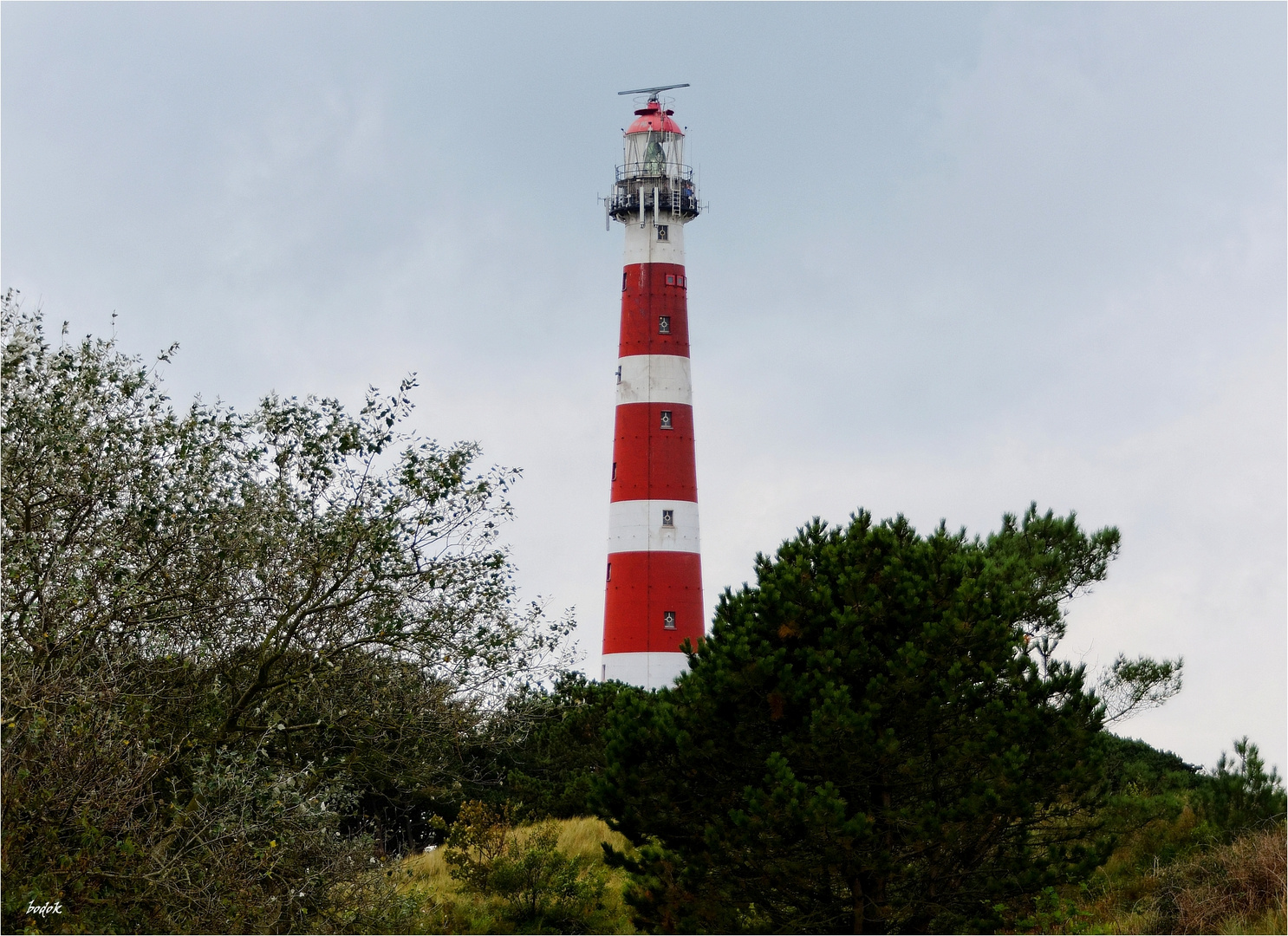 Leuchtturm Ameland ("Bornrif")