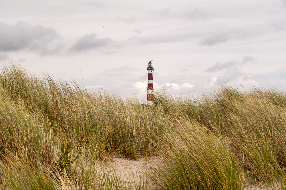 Leuchtturm Ammeland Dünen