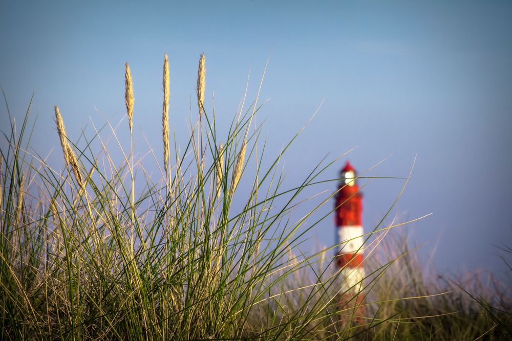 Leuchtturm Amrum #02