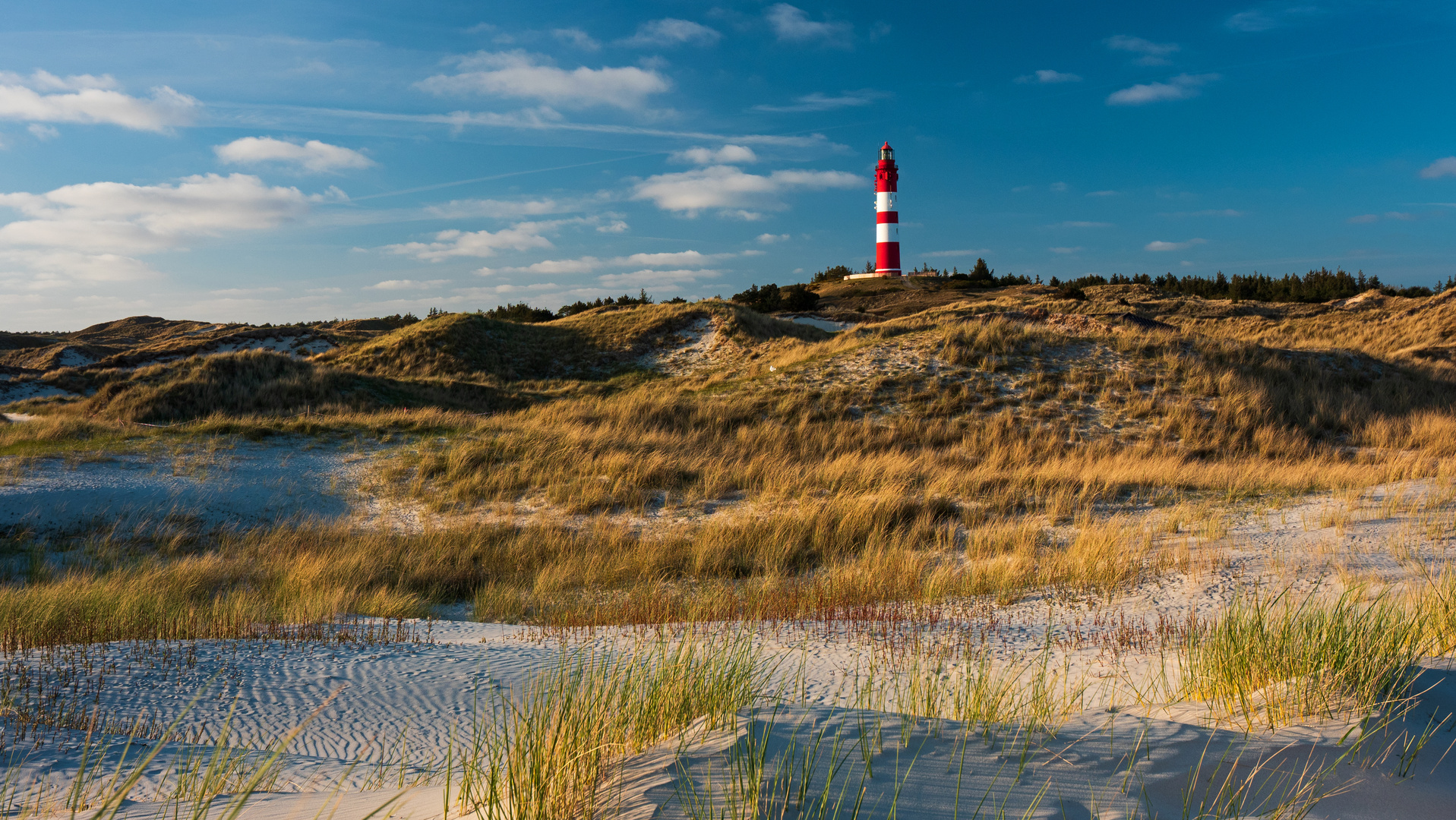 Leuchtturm Amrum 3