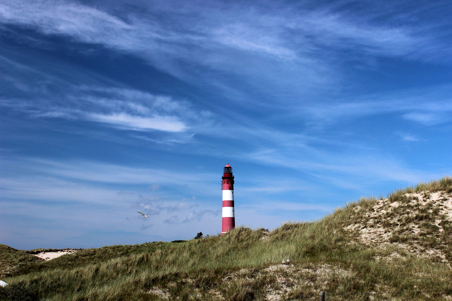 Leuchtturm Amrum