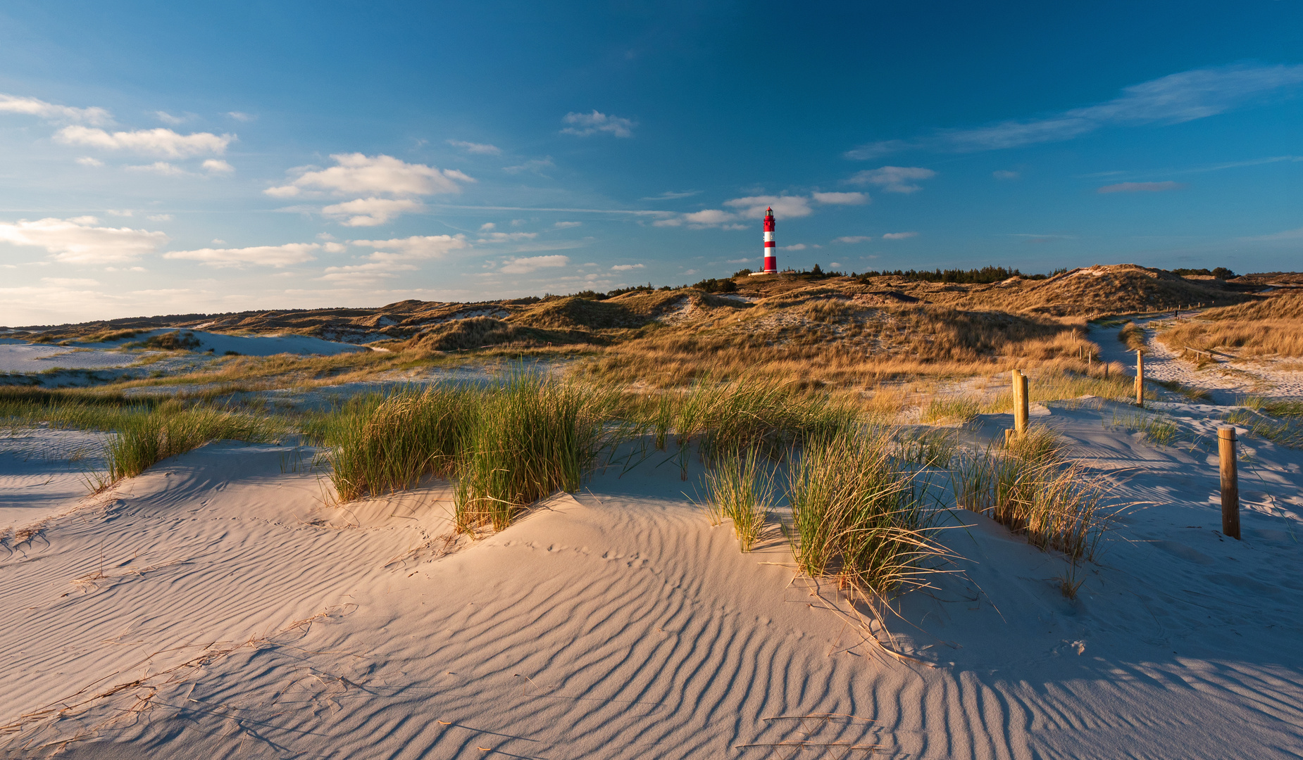 Leuchtturm Amrum 