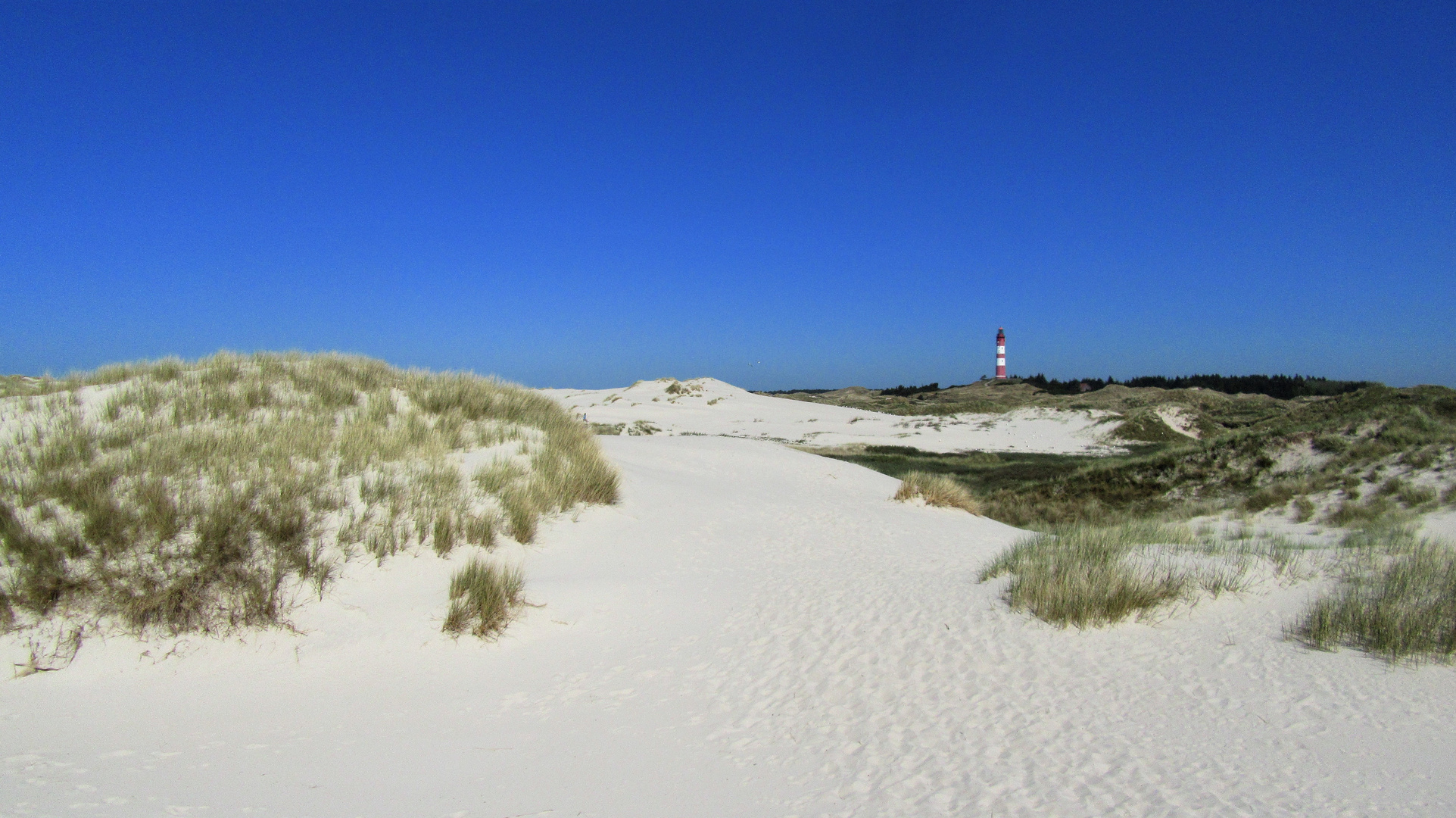 Leuchtturm Amrum