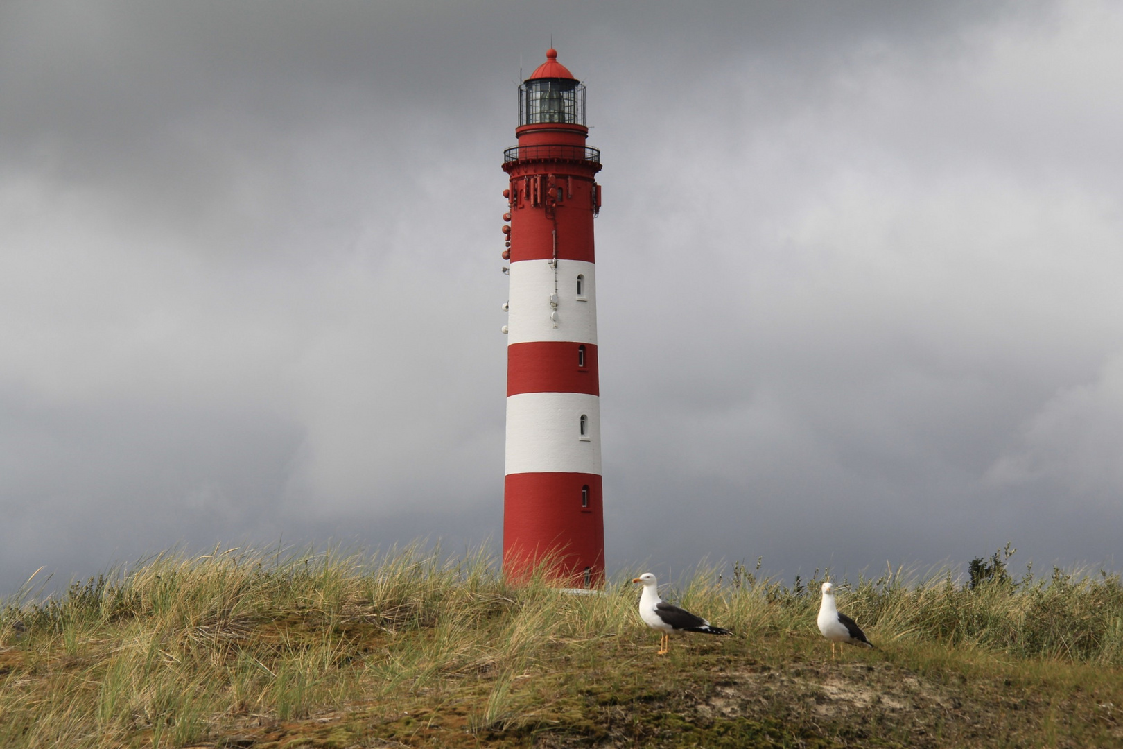 Leuchtturm Amrum