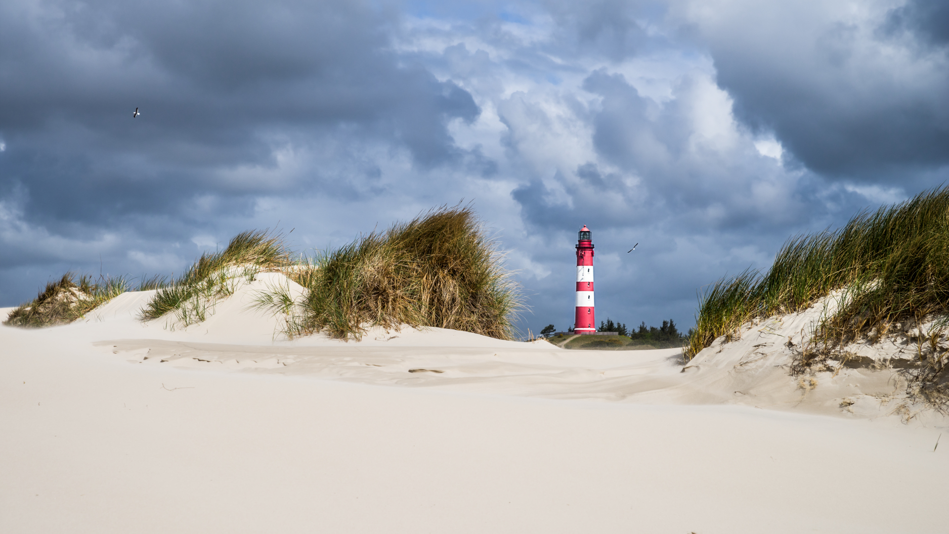 Leuchtturm Amrum in den Dünen