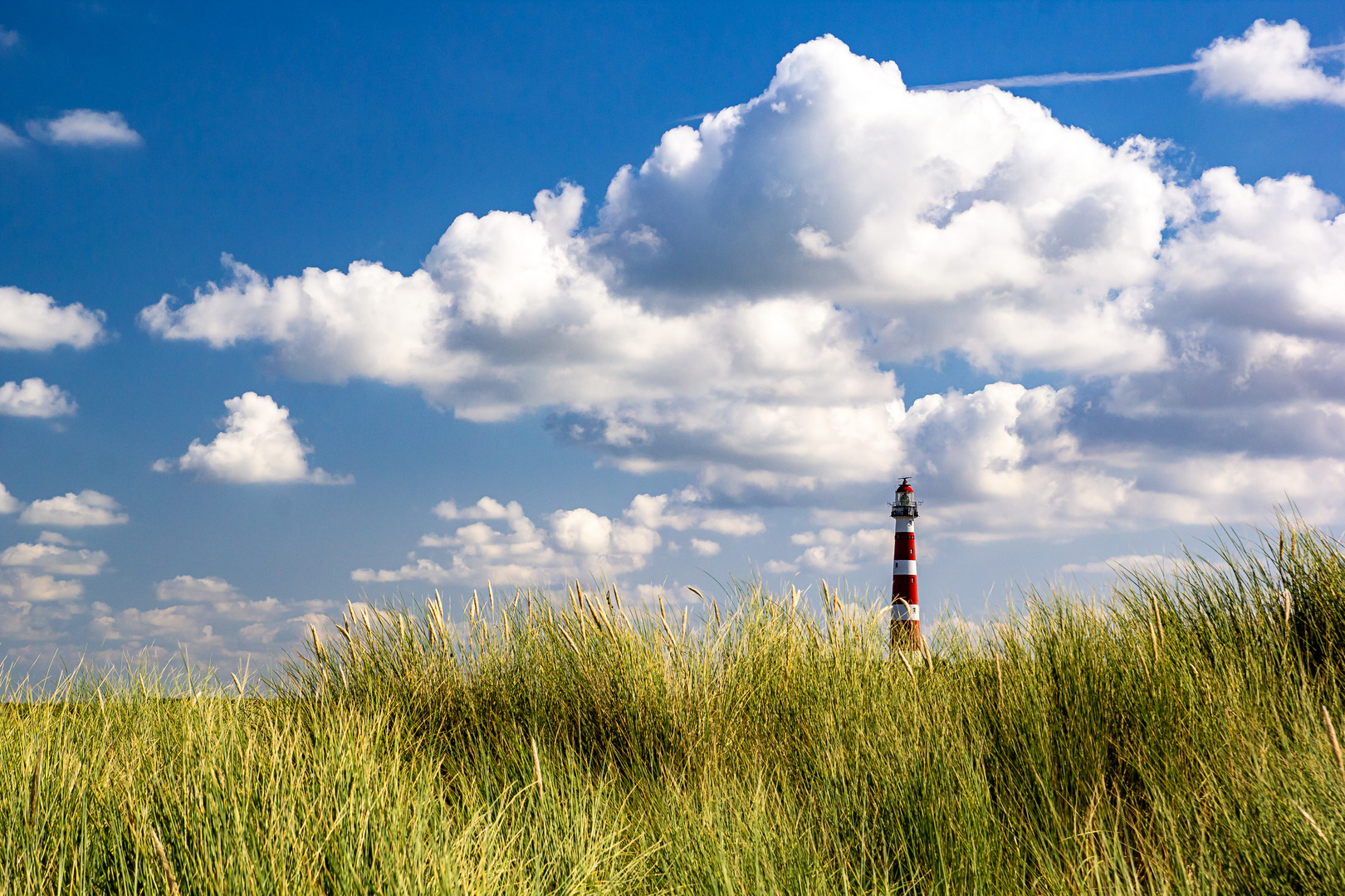 Leuchtturm auf Ameland (Hollum)