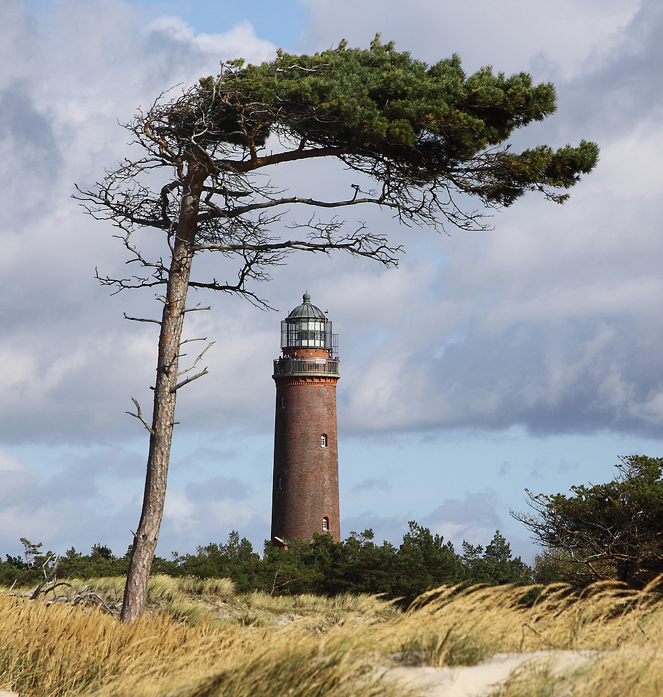 Leuchtturm auf dem Darß