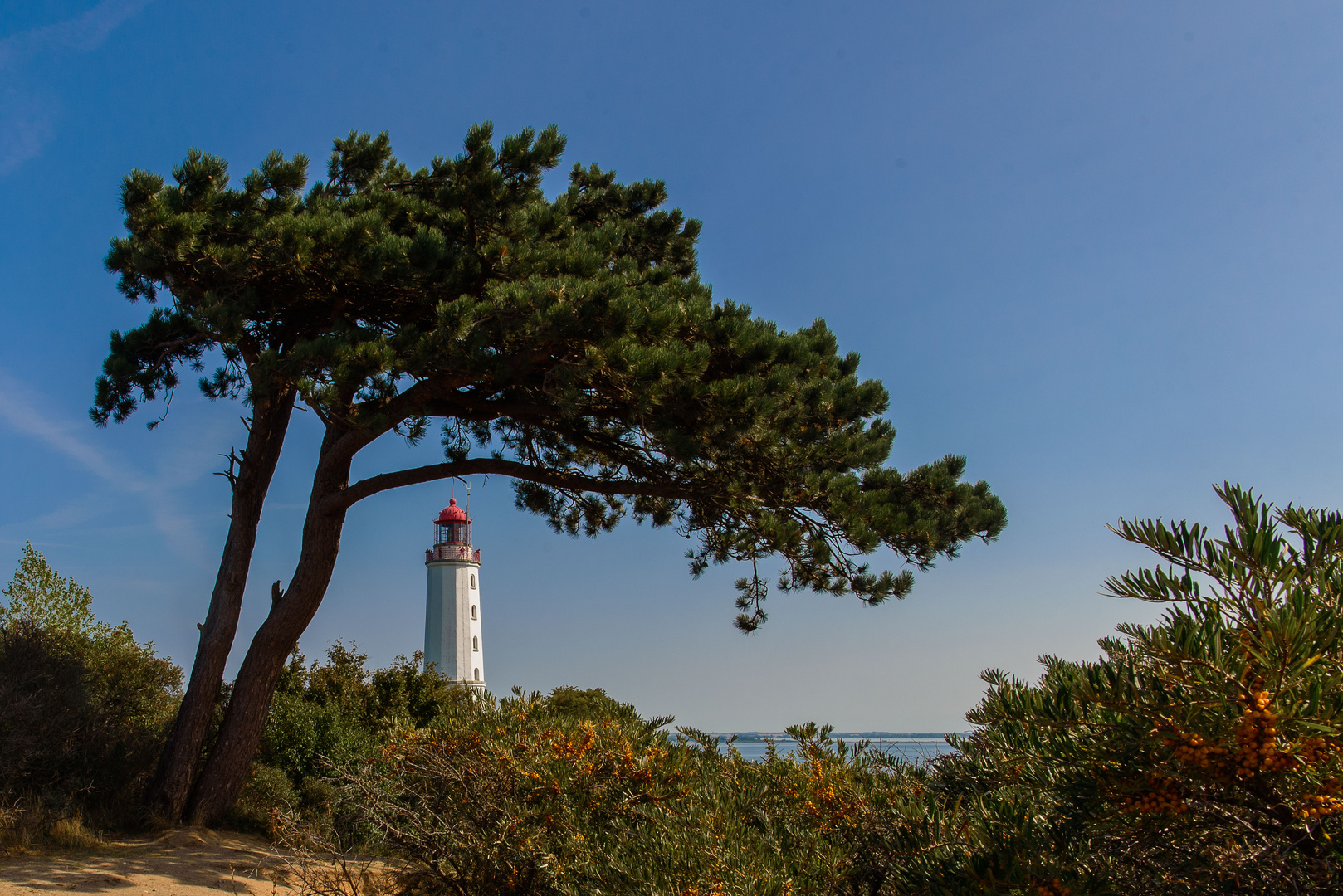 Leuchtturm auf dem Dornbusch auf Hiddensee