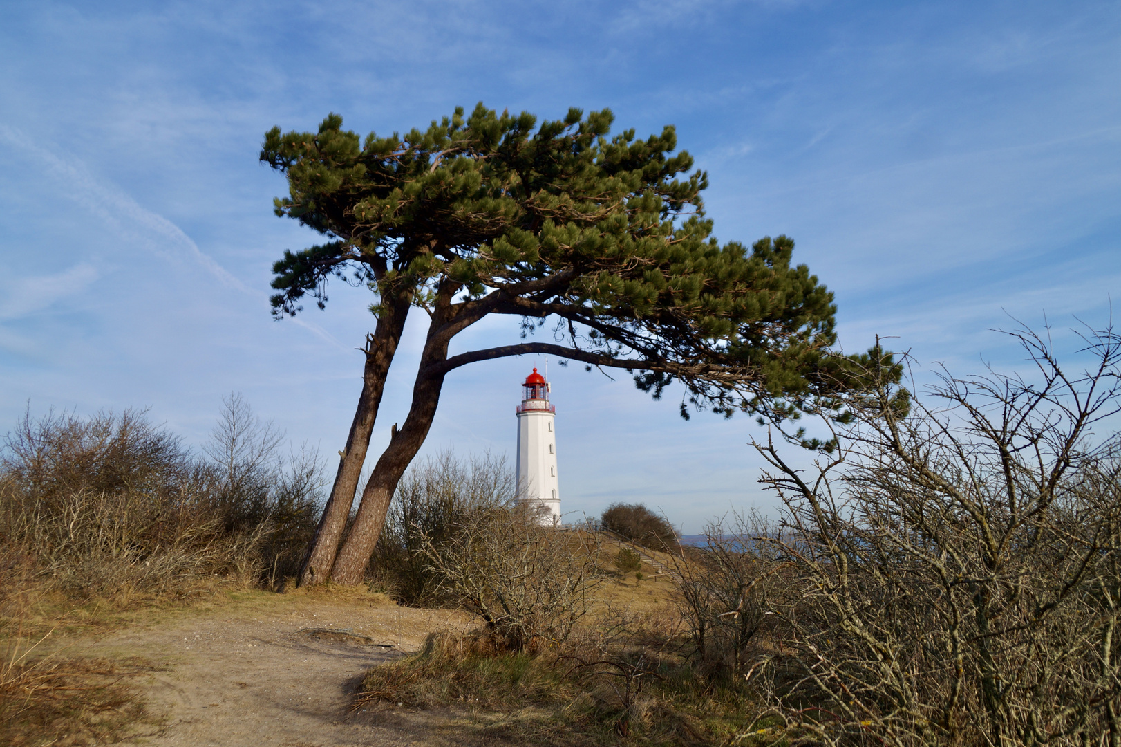 Leuchtturm auf dem Dornbusch Hiddensee 