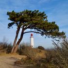 Leuchtturm auf dem Dornbusch Hiddensee 