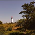 Leuchtturm auf Hiddensee