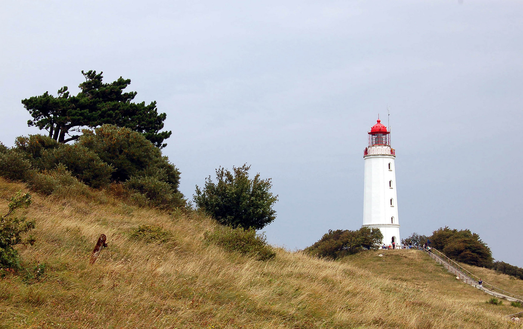 Leuchtturm auf Hiddensee