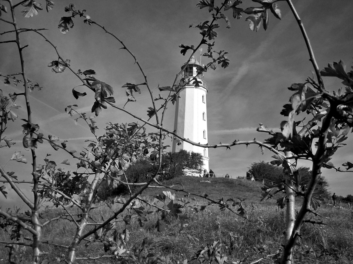 Leuchtturm auf Hiddensee.