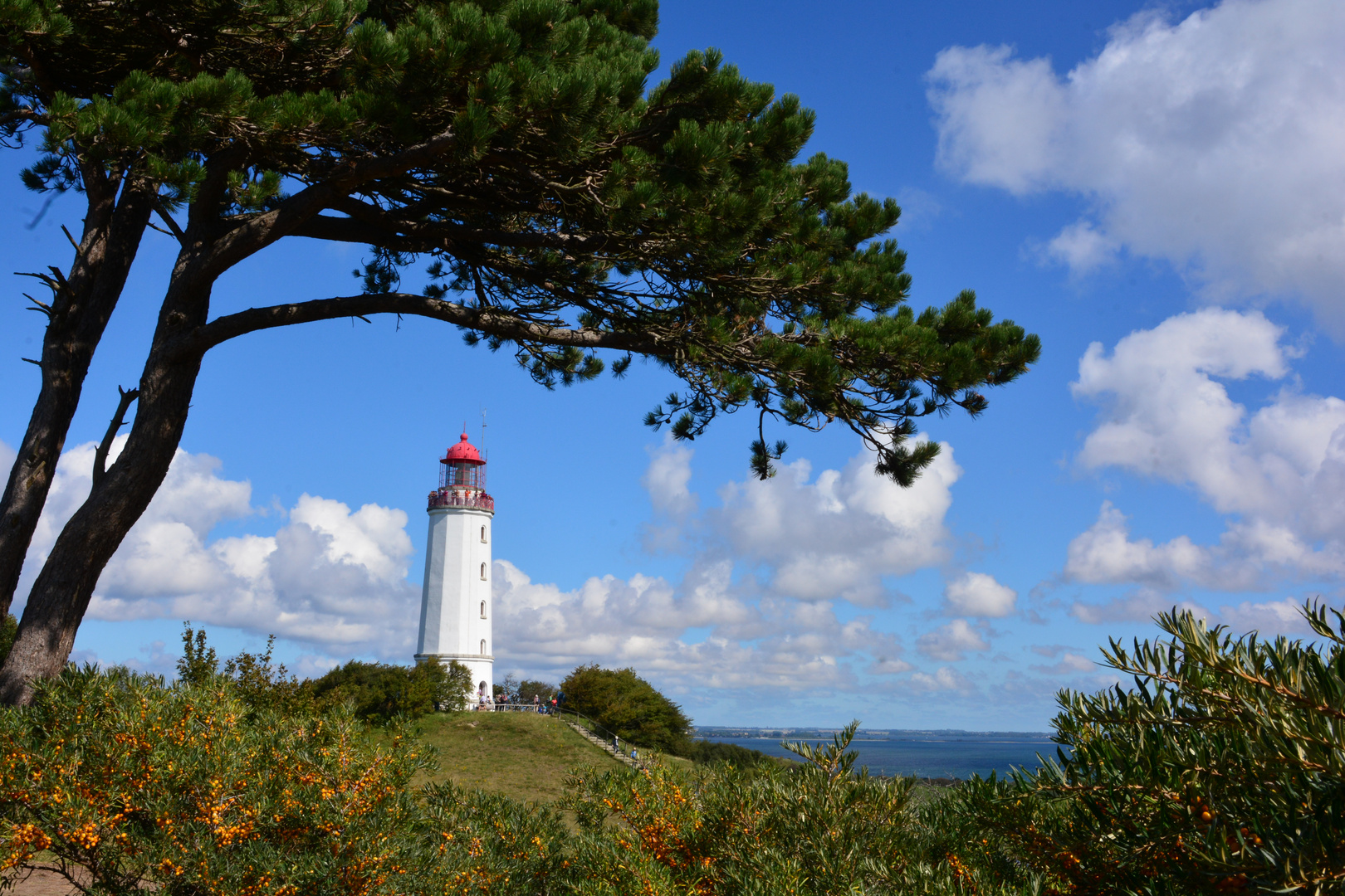 Leuchtturm auf Hiddensee