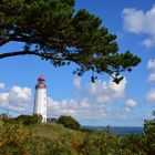 Leuchtturm auf Hiddensee