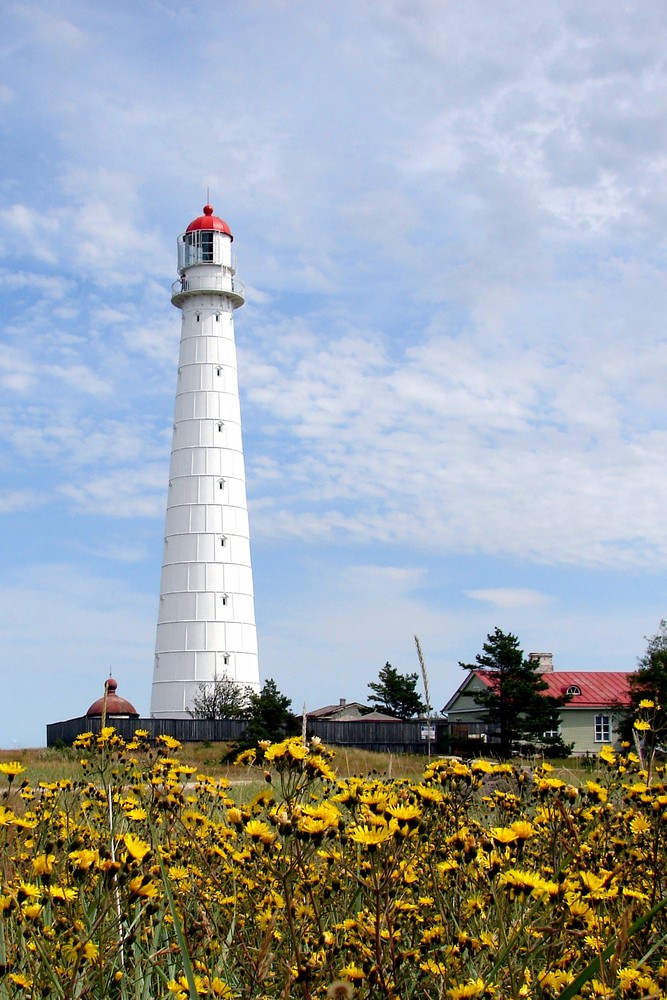 Leuchtturm auf Hiiumaa/Estland