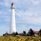 Leuchtturm auf Hiiumaa/Estland