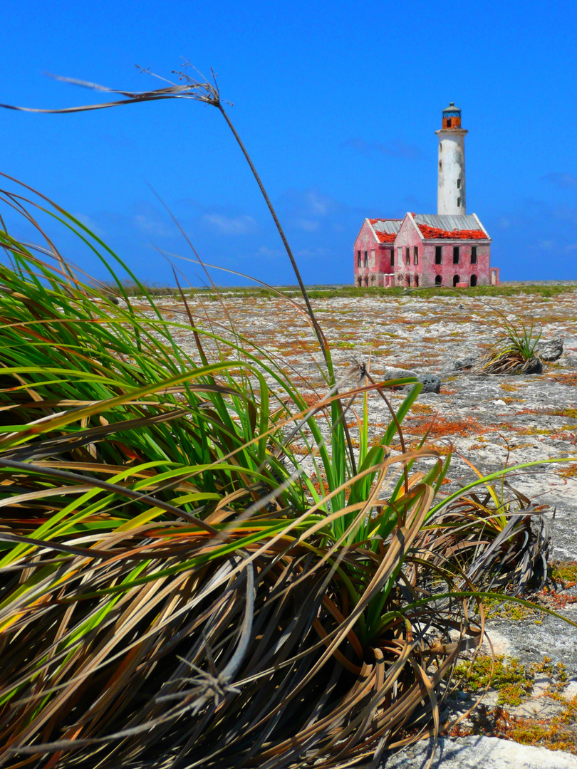 Leuchtturm auf Klein-Curacao