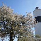 Leuchtturm auf Öland (Schweden) im Frühling