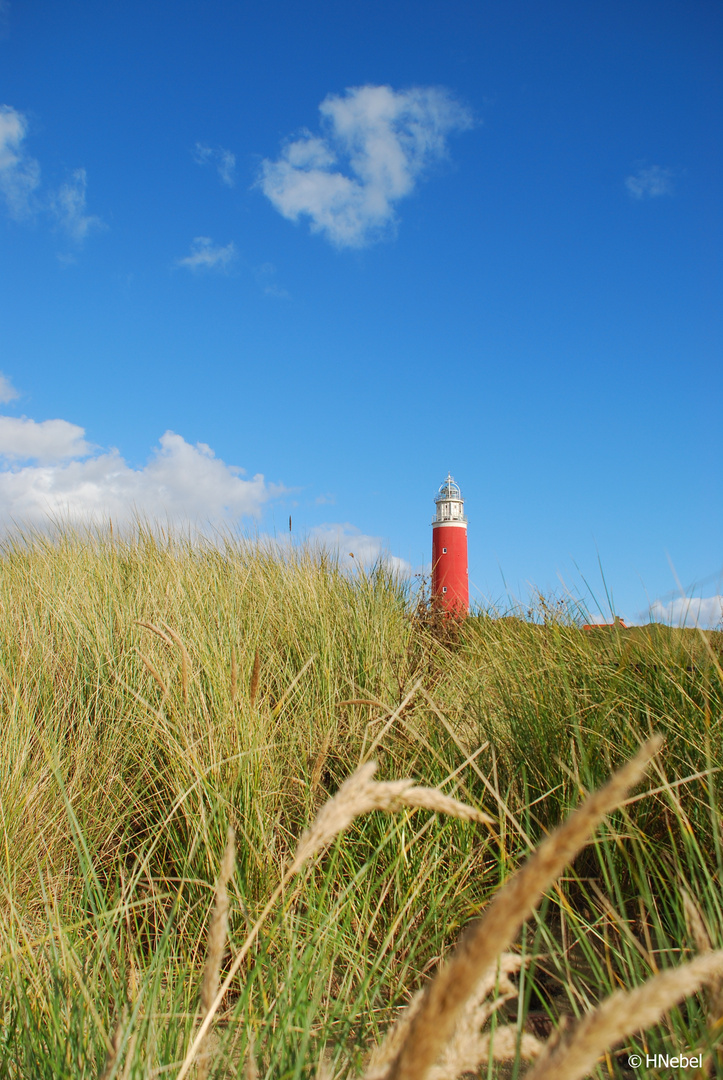 Leuchtturm auf Texel