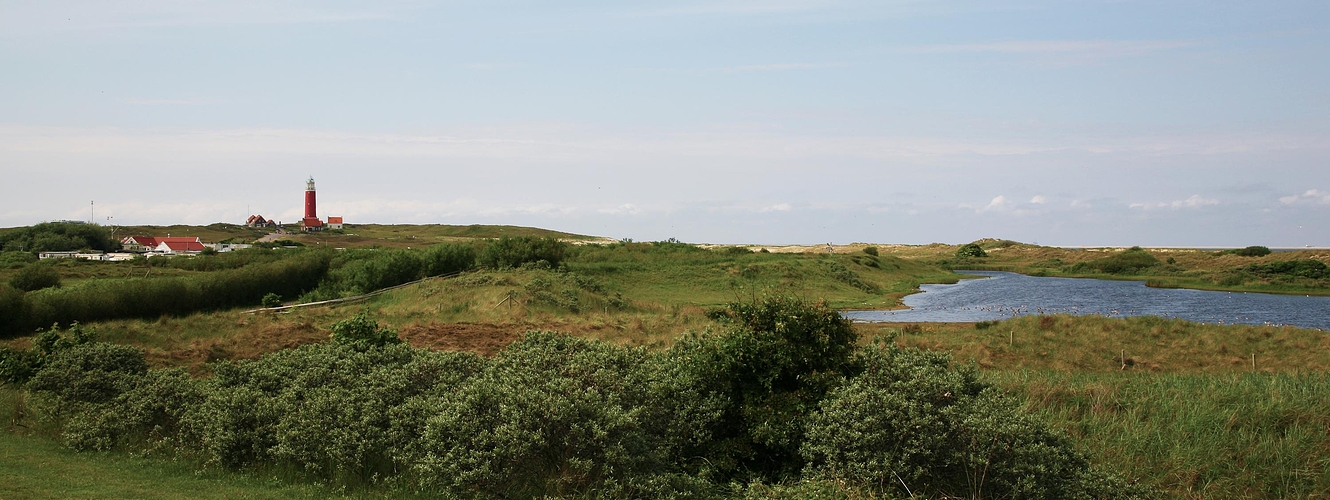 Leuchtturm auf Texel