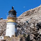 Leuchtturm Bass-Rock, Schottland IMG_4997