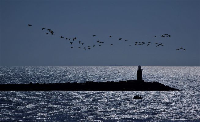 Leuchtturm bei IJmuiden....