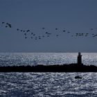 Leuchtturm bei IJmuiden....