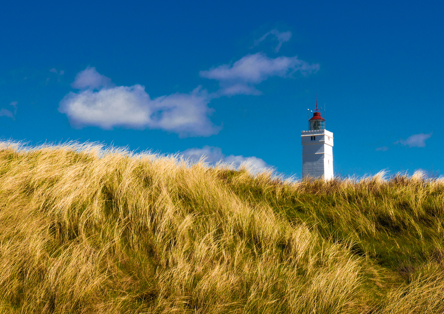 Leuchtturm (Blavand Dänemark)