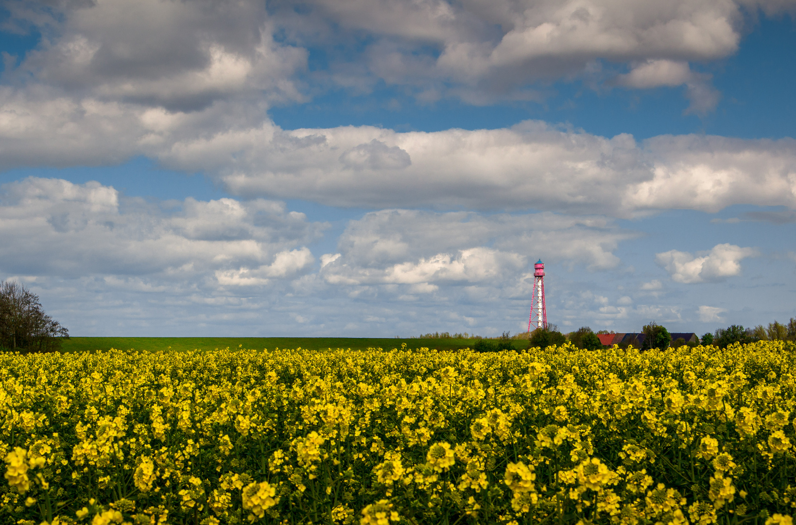 Leuchtturm Campen im Rapsfeld