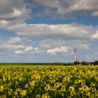 Leuchtturm Campen im Rapsfeld