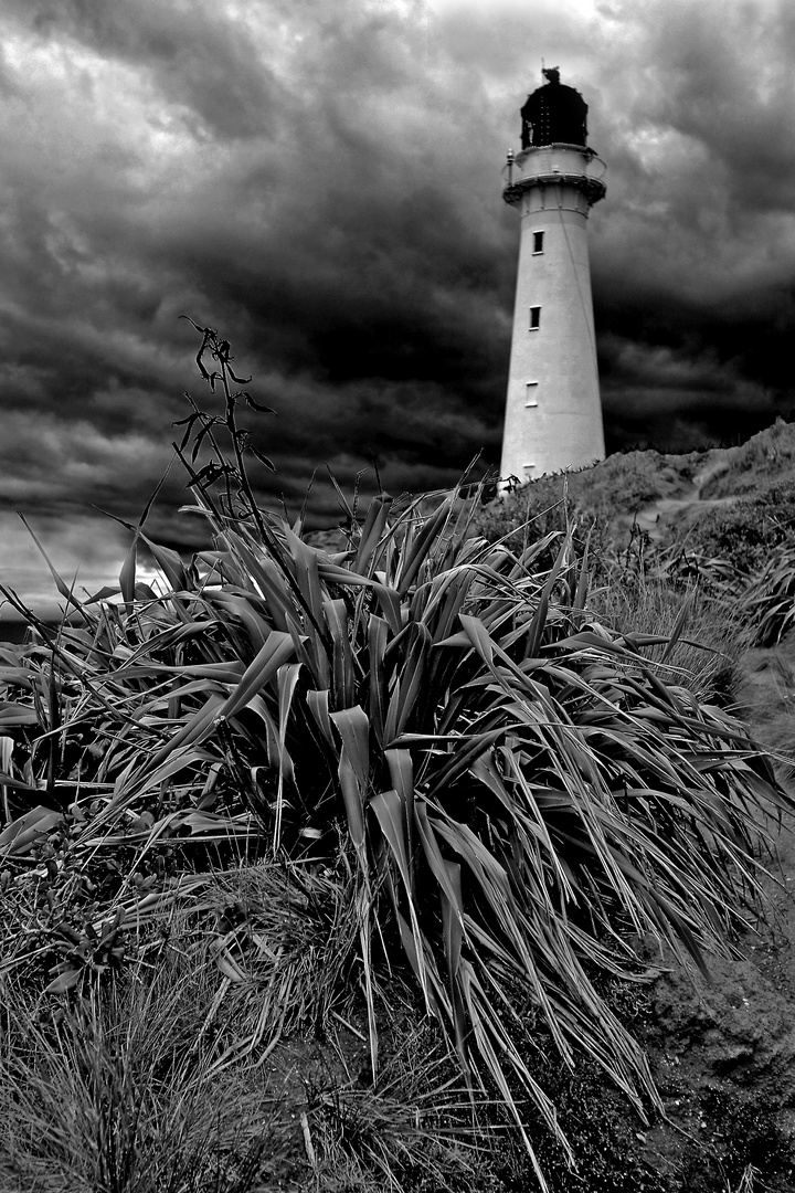 Leuchtturm Castle Point