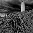 Leuchtturm Castle Point